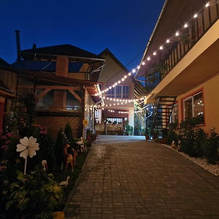 Hotel Casa Cosmin Cincu Exterior foto