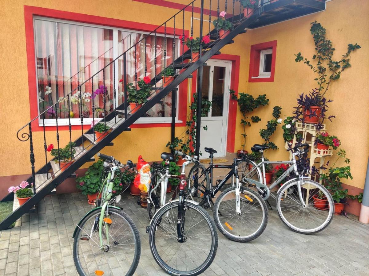 Hotel Casa Cosmin Cincu Exterior foto